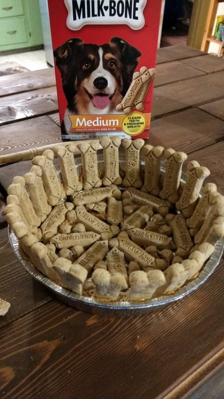 dog treats in pie pan for the holidays