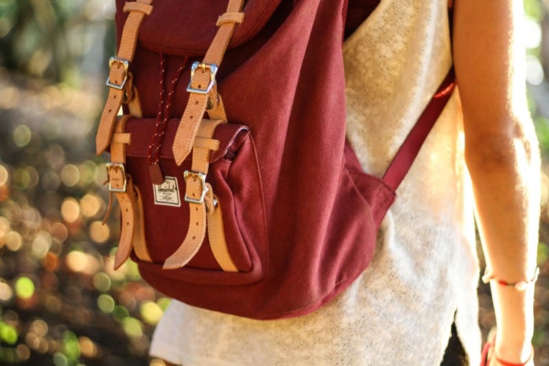 just what you need for holiday travel